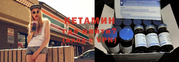 шишки Лабытнанги