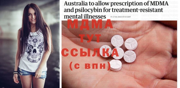 шишки Лабытнанги