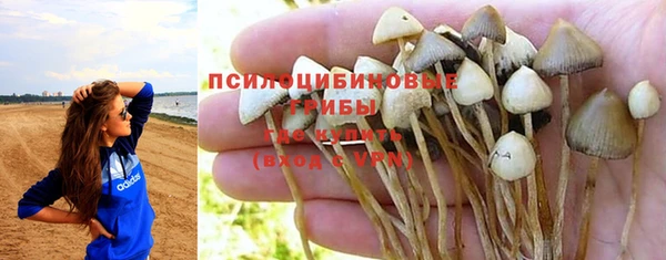 ГАЛЛЮЦИНОГЕННЫЕ ГРИБЫ Лихославль