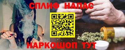 spice Гай