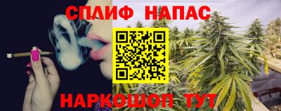 spice Гай