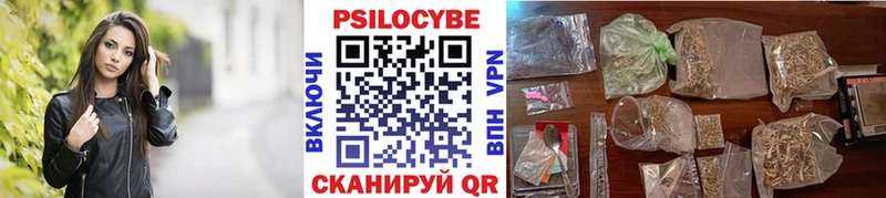 цена   mega как войти  Псилоцибиновые грибы Psilocybe  Лыткарино 