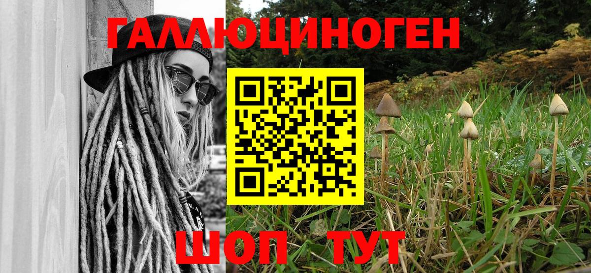 Галлюциногенные грибы Psilocybine cubensis  как найти закладки  Вход с VPN  Лыткарино  Галлюциногенные грибы мухоморы 