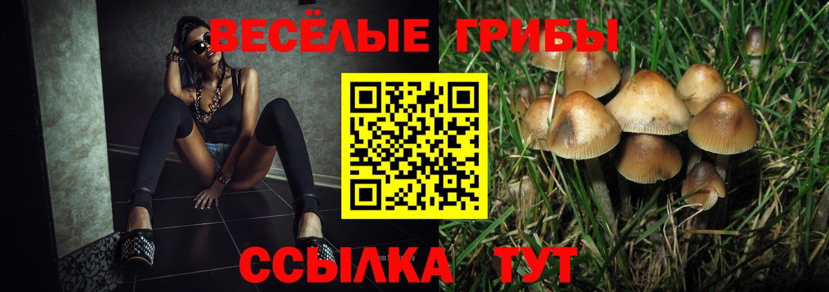 Галлюциногенные грибы MAGIC MUSHROOMS Лыткарино